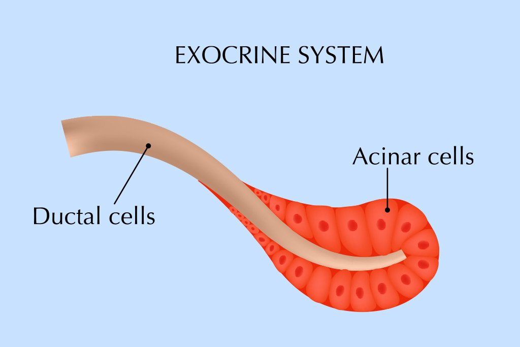 pancreatic-cancer-in-coimbatore